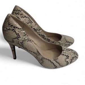 Snake Skin Heels